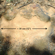 Illustration for article titled NASA discovers 100 million year old dinosaur footprints in its backyard
